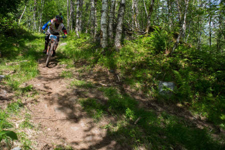 Brage Vestavik