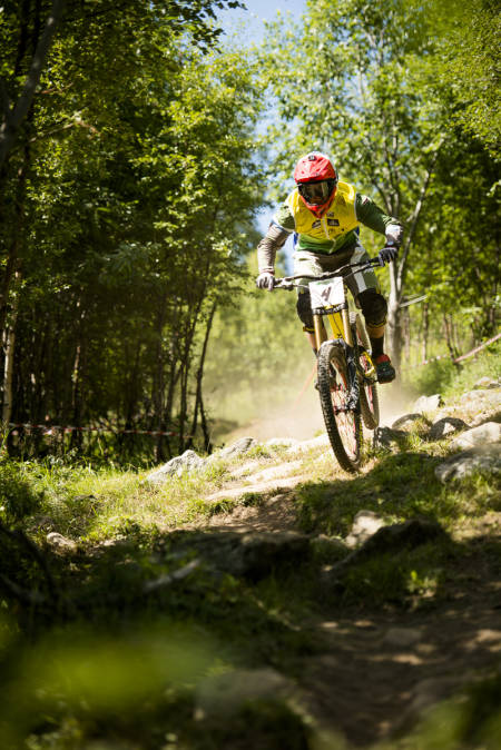 Terje Nylende