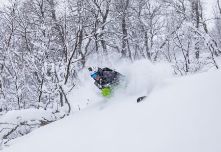 BONUSPUDDER: Primus motor Asbjørn Eggebø Næss fikk seg en solid dose pudder under skia på pudderdagen i Brandstadskogen. Bilde: Terje Aamodt