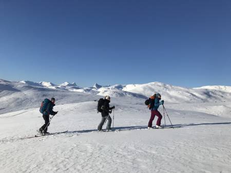 Man ser inn i Morka-Koldedalen og vestover mot Hurrungane store deler av oppstigninga. Foto: Torje Helland Graff