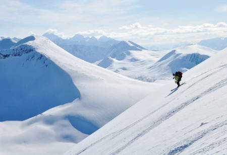 Lyngen