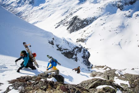 RIKTIG TOPPTURSKI: Vi hjelper deg med uavhengige råd slik du velger toppturski som passer deg. Foto: Tore Meirik
