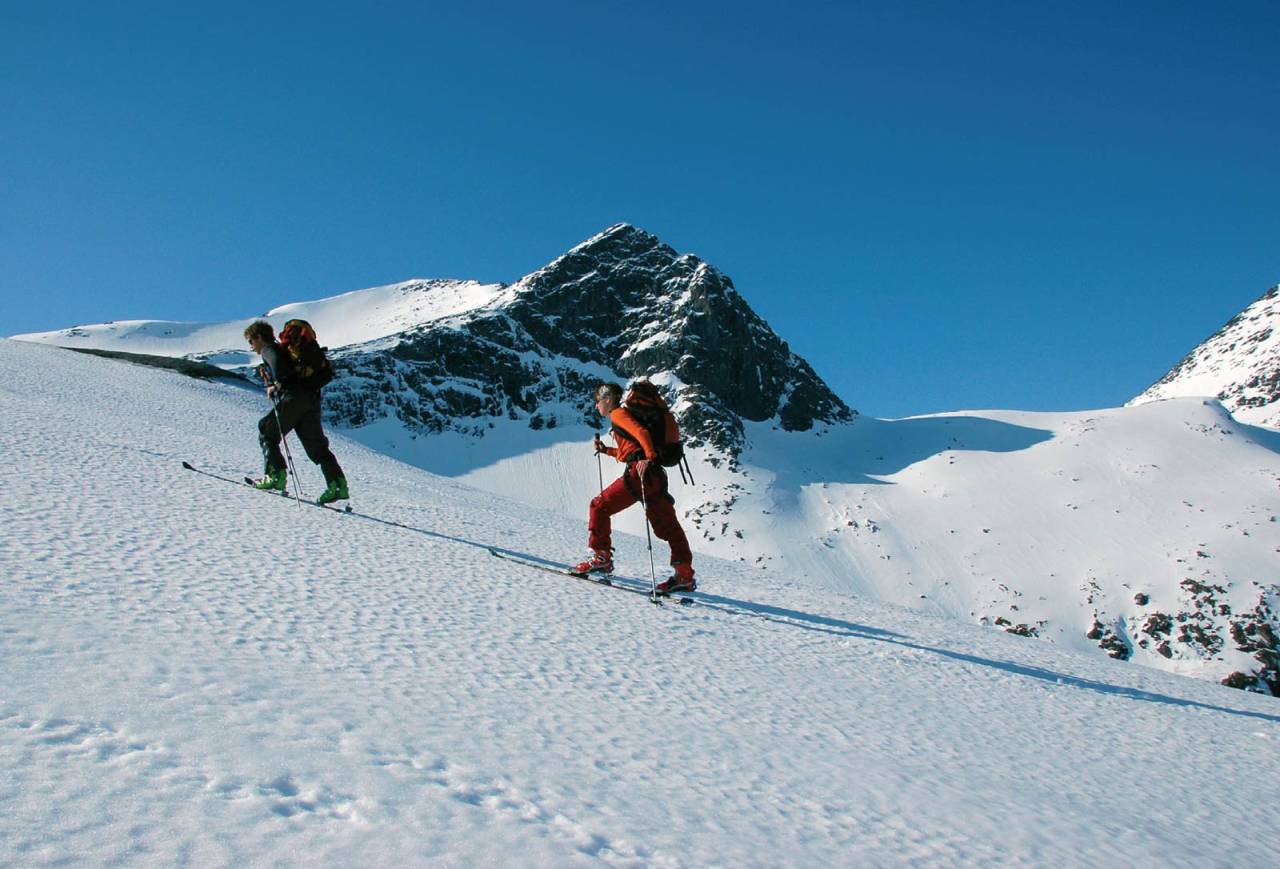 Bjarne Hunstad leder an mot Bogvasstinden. Over sekken hans skimtes sydflanken. Foto: Torgeir Kjus. / Toppturer rundt Bodø.