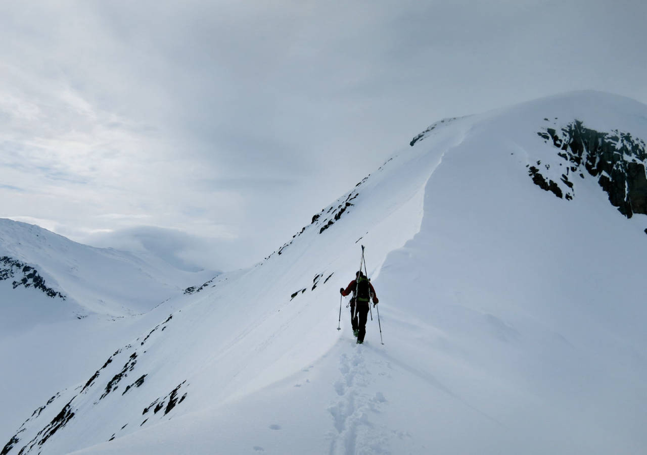Åsmund Ødegård på østryggen mot P1562. Flanken ned til venstre er 16.5. Foto: Ragnhild Fjørkenstad. / Toppturer rundt Bodø.