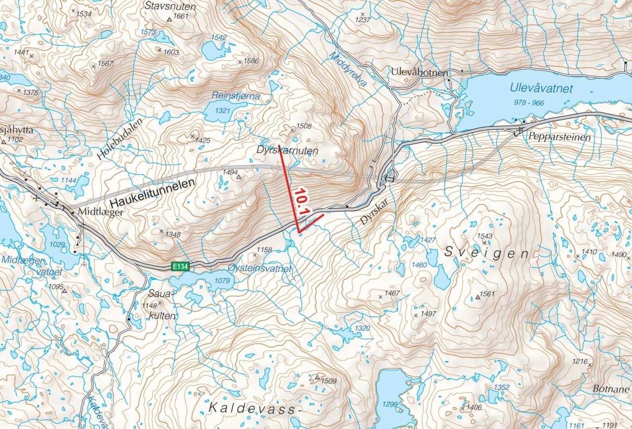 Kart over Dyrskardsnuten med inntegnet rute. Fra Toppturer i Sørvest.