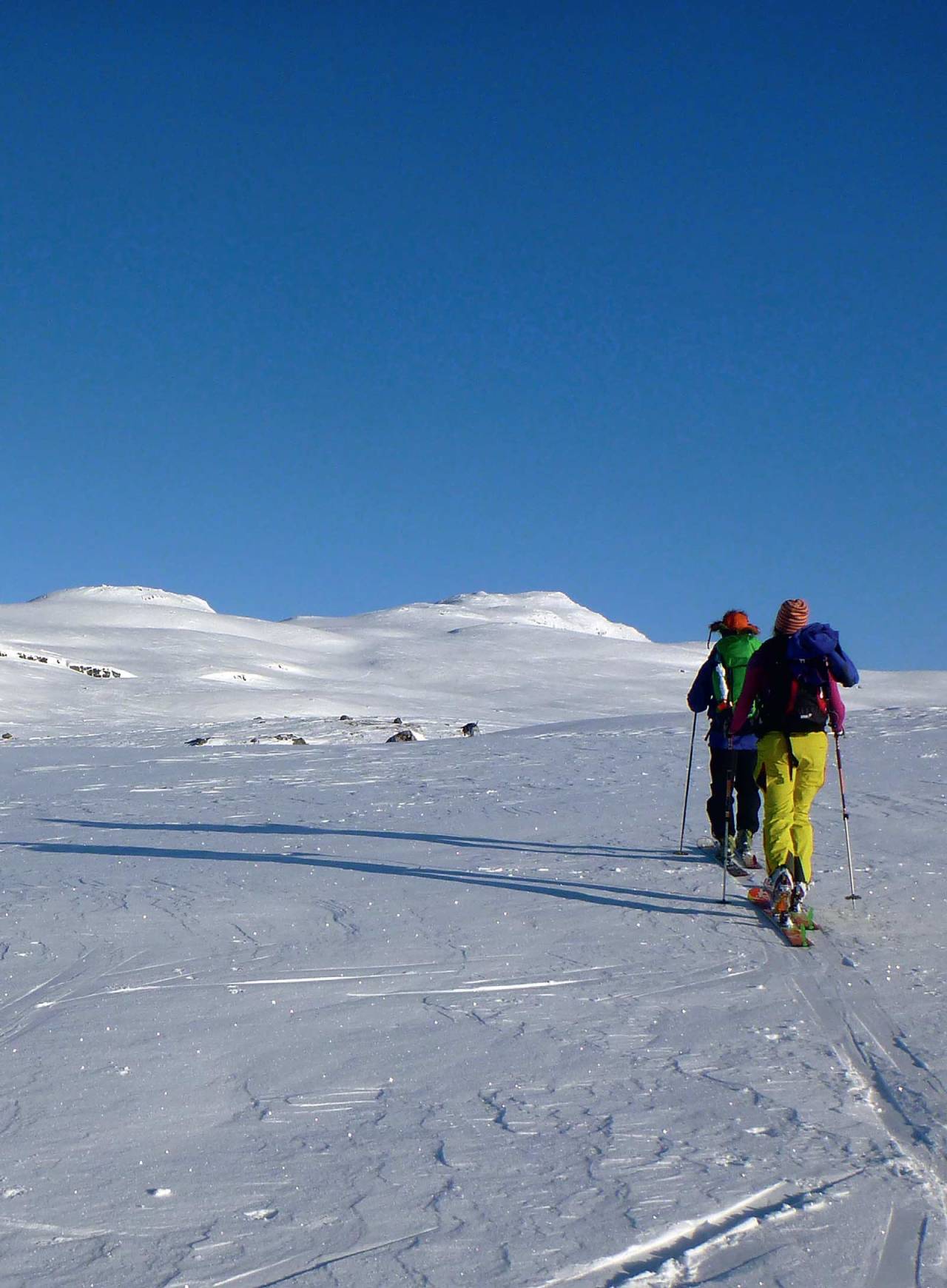 I horisonten ser du toppen Vesle Nup. Foto: Frank Pedersen