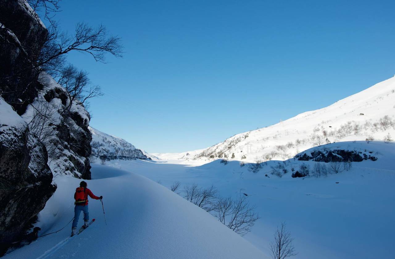 Til Bjønnskjeggheia er det et lite stykke anmarsj før oppstigningen kan begynne. Foto: Øyvind Salvesen. / Toppturer i Sørvest.