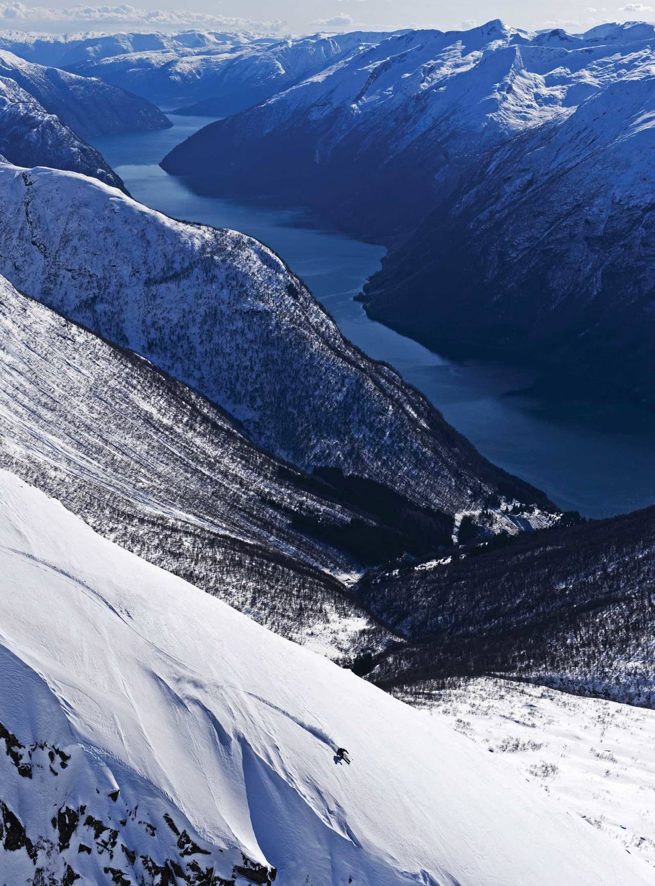 Nordvestryggen på Nyastølseggi. Skogen på Kløvingahaugen mot fjorden. Foto: Mattias Fredriksson