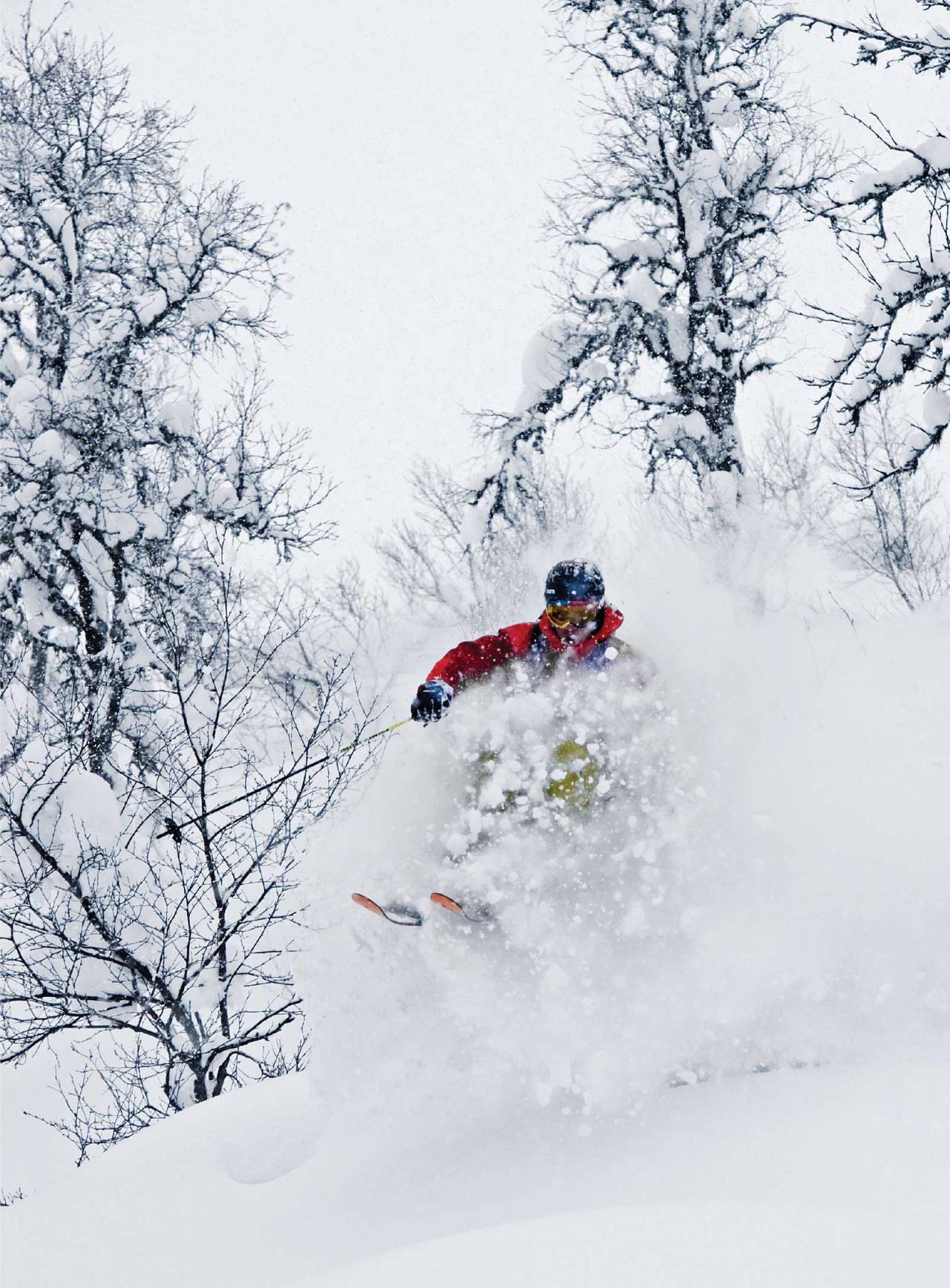 Kokkstadskogen. Foto: Mattias Fredriksson. / Toppturar i Sogn