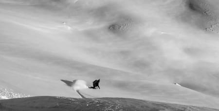 FINE FOROLD: Ingrid Lonar cruiser i deilig snø i Finnmark. Foto: Turtrusene