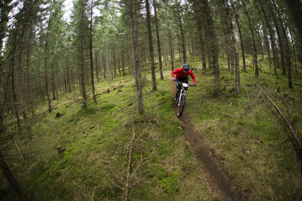 Thomas Velde i eventyrskogen på fartsetappe 5. _IPP5098