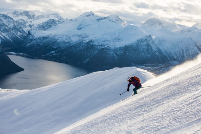 foto løve storm fausko