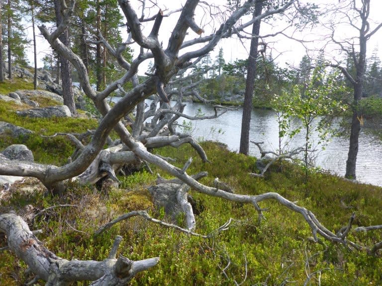 P1040859-768x576