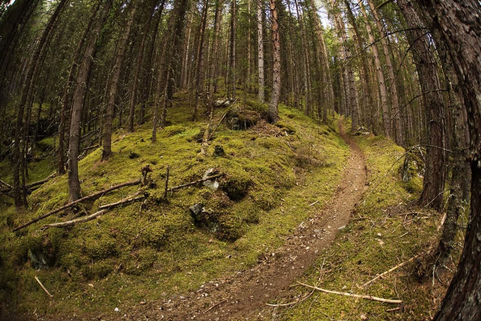 LITEN TVIL: Denne løypa i Nesbyen levner ikke mye tvil til fantasien om hvilket spor man skal/bør følge, men det er ikke alltid tilfelle. Foto: Kristoffer H. Kippernes _IPP6718
