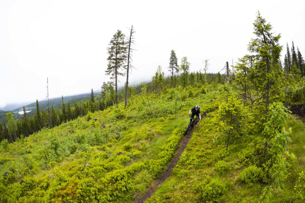 Foto: Snorre Veggan utflukt_lørdag-5720a