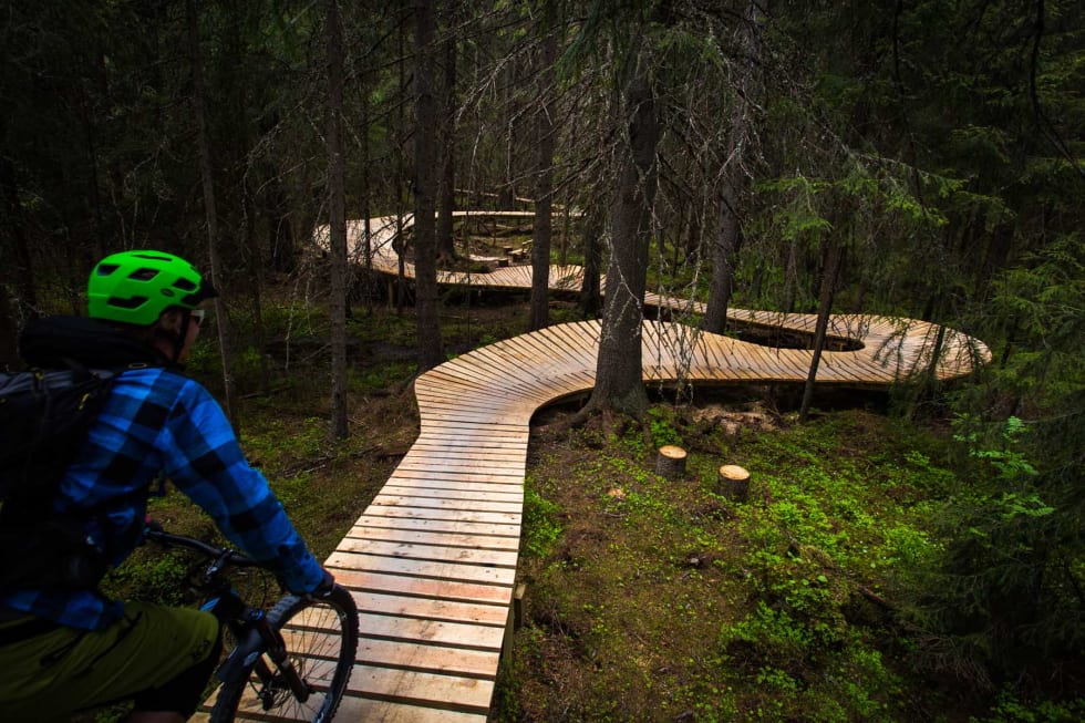 FOTOGENT: Den enorme trekonstruksjonen i Sherwood Forest gjør seg godt på sosiale medier. Foto: Snorre Veggan. utflukt-8057a