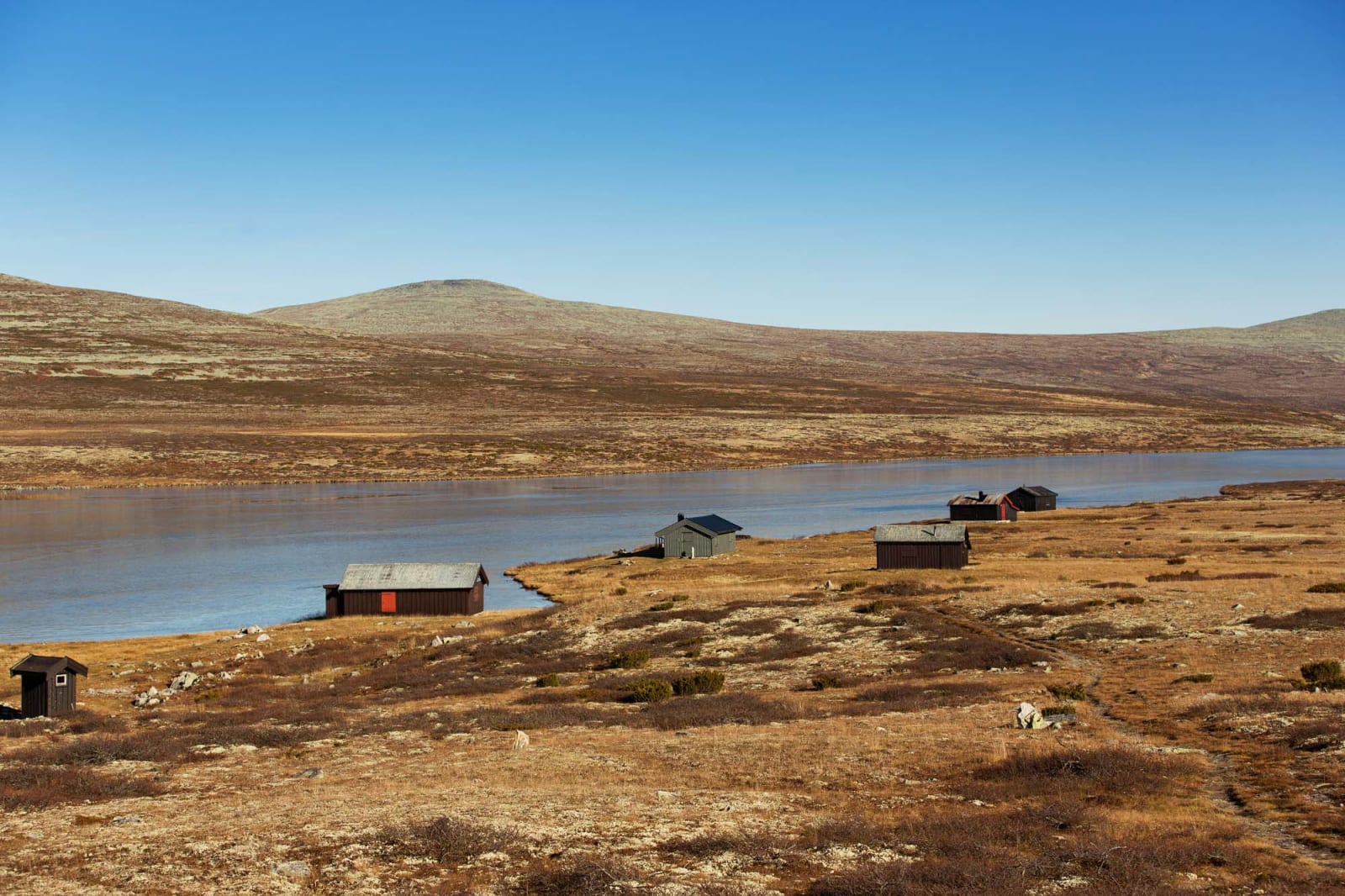SETERLIV: En stille scene fra fjellet en høstdag. Foto: Kristoffer H. Kippernes.