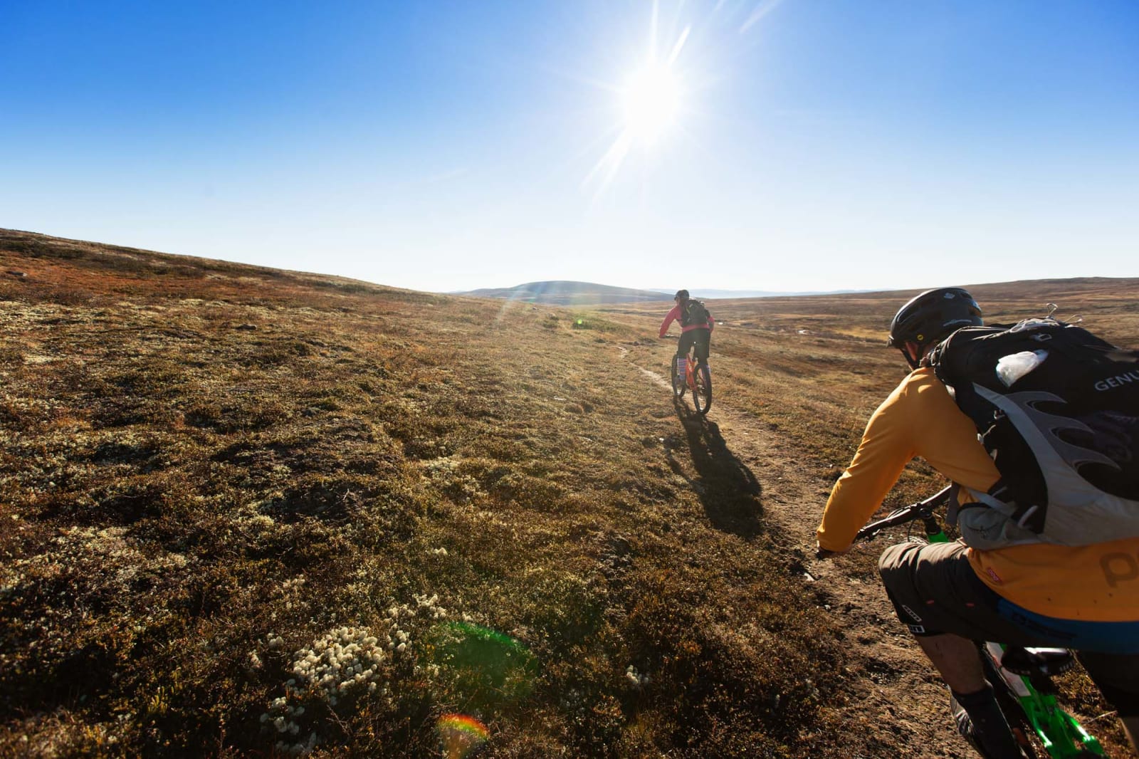 ETTER LUNCH: Ventet stier av dette kaliberet. Masse av dem. Foto: Kristoffer H. Kippernes.