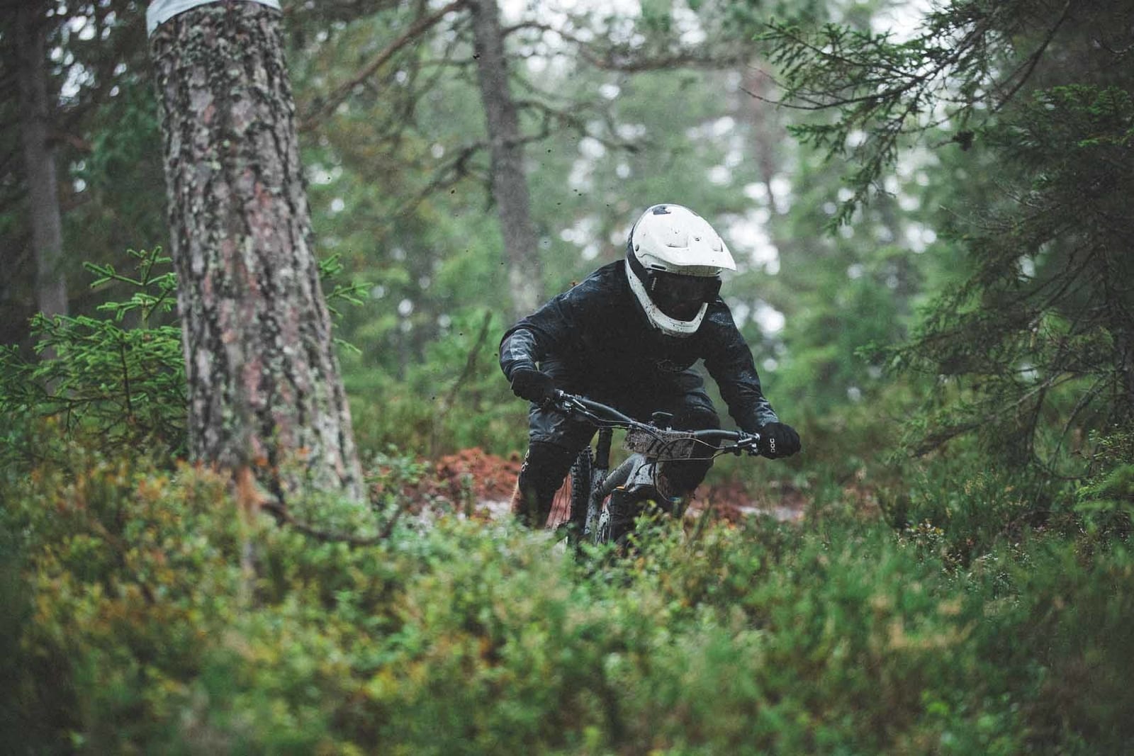 Foto: Kristoffer H. Kippernes