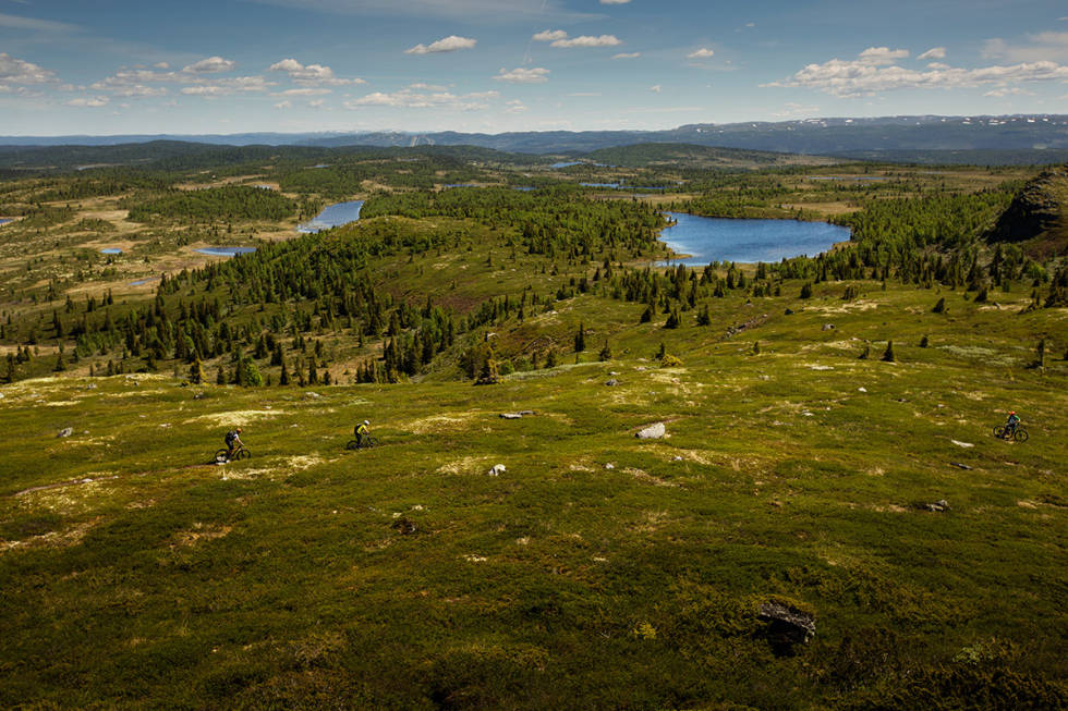 DYNA: Ove Grøndal venter i lyngen på Frank Jonny Brenno og Morten Nilsen på vei ned fra Dyna i Hallingdal. Foto: Kristoffer H. Kippernes Dyna Hallingdal