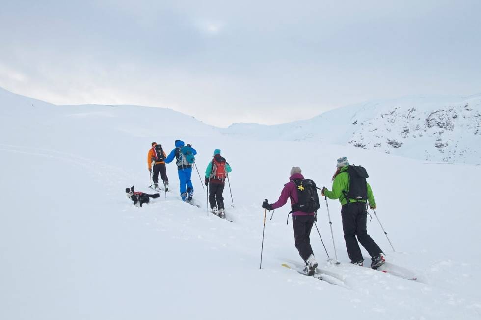 POPULÆR: Finnbufjellet er en populær og lett tilgjengelig skitopp. Foto: Lars Lid Trana Finnbufjellet Voss