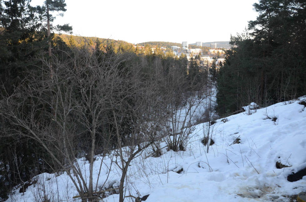 MOT ÅRVOLL: Planen er å forlenge traseen fra Grefsenkleiva og ned mot dagens langrennsløype. Her vil også heisen komme opp. Foto: Erlend Sande Grefsenkleiva