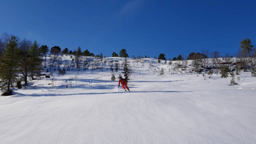 Bildet er tatt på lørdag på et lokalt lite fjell på Osmarka på Nordmøre. Bildet er tatt av Henrik Hole (14) i full fart ned fra fjellet i fantastisk vårsnø. Foto: Henrik Hole Osmarka