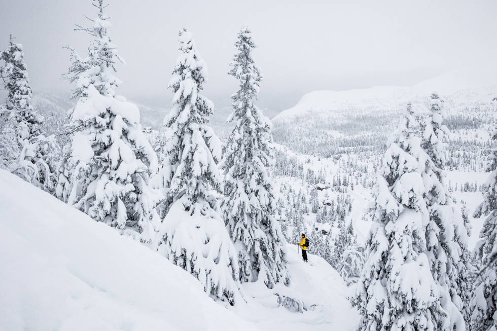 HØGEVARDE: Det har kommet godt med snø den siste tiden. Foto: Andreas Løve Storm Fausko Høgevarde