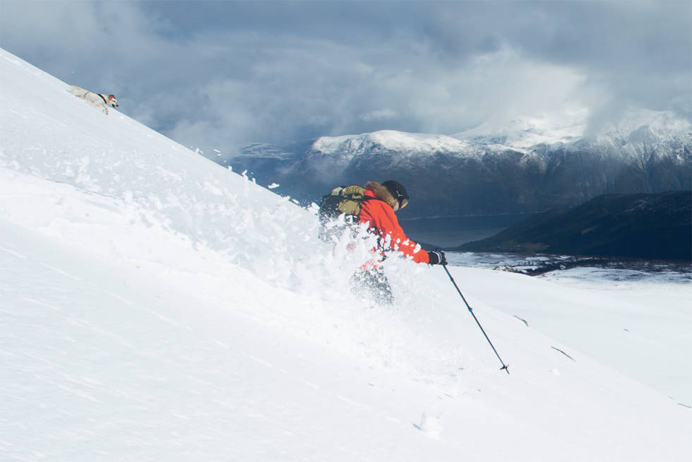 VINTER OPPE OG SOM- MER NEDE: Med bilvei opp til tregrensa er det ofte enkelt å komme seg opp til snøen på Trolltind. Her er Erling Meirik og engelsksetteren Frodo på vei ned til bilen i fin snø på en tid av året bikkja helst forbinder med fuglejakt. Foto: Tore Meirik Trolltind