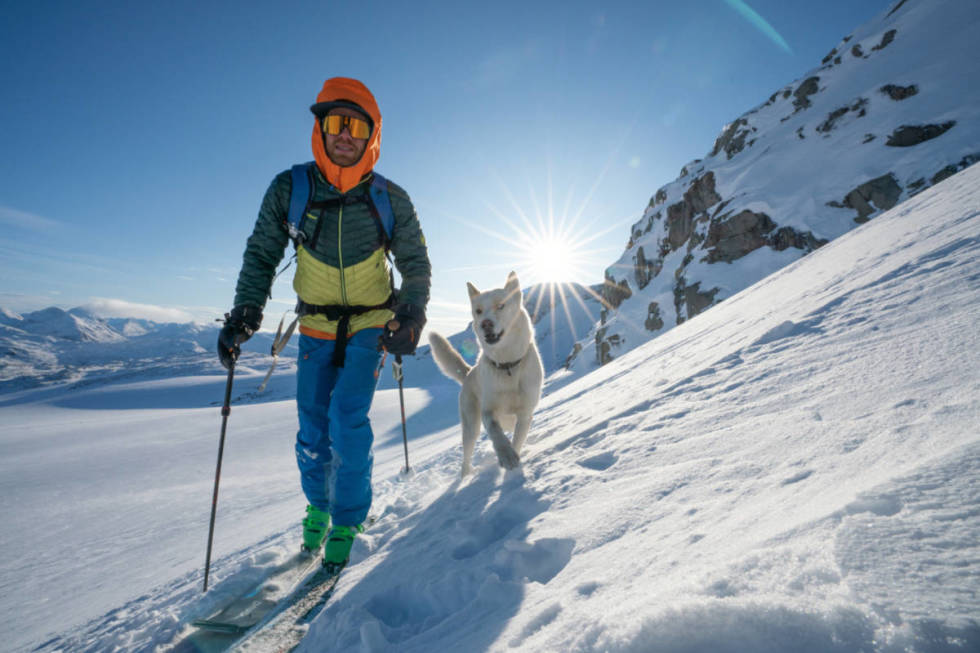 PÅ TUR: Hunden Sjogg har hatt rundt 100 toppturer i året. Her på Steindalsnosi med Martin Andersen. Foto: Privat Martin Andersen