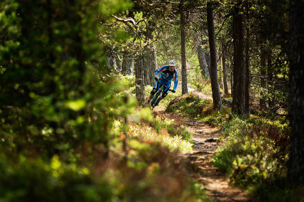 SYKLING: Nordfjord er et av stedene som byr på god sykling. Her under tregrensa. Foto: Kristoffer H. Kippernes Nordfjord