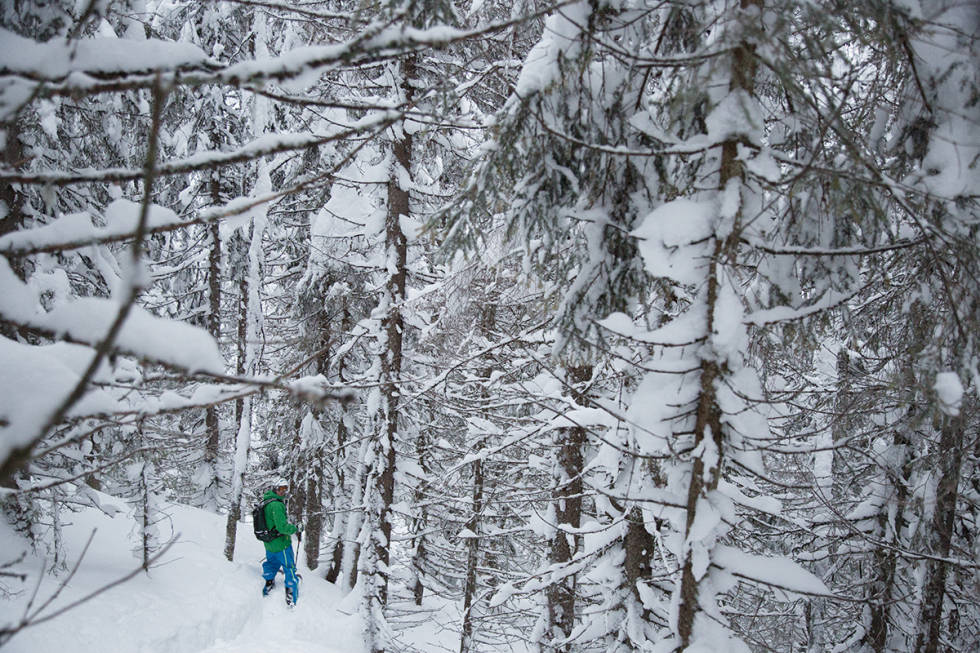 SKOGENS MANN: Stian Skinnes Fossen kan sin vei gjennom Norefjells tette skog. Med hans kunnskap kan en pudderdag på Norefjell bli sesongens høydepunkt. Foto: Thomas Kleiven Norefjell