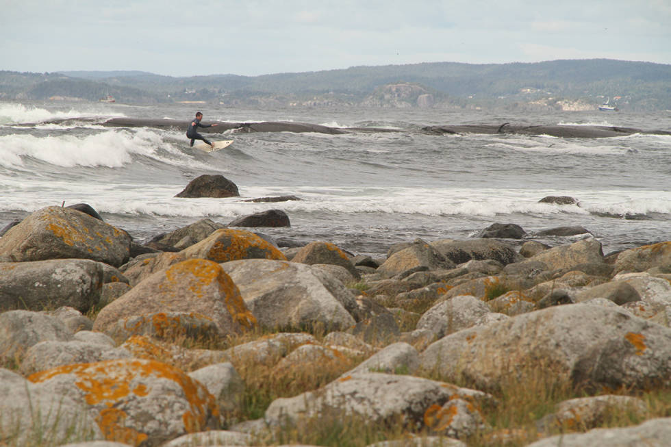 I VANNET: Odin Røhrt på Saltstein. Foto: Audun Holmøy Røhrt Surf saltstein
