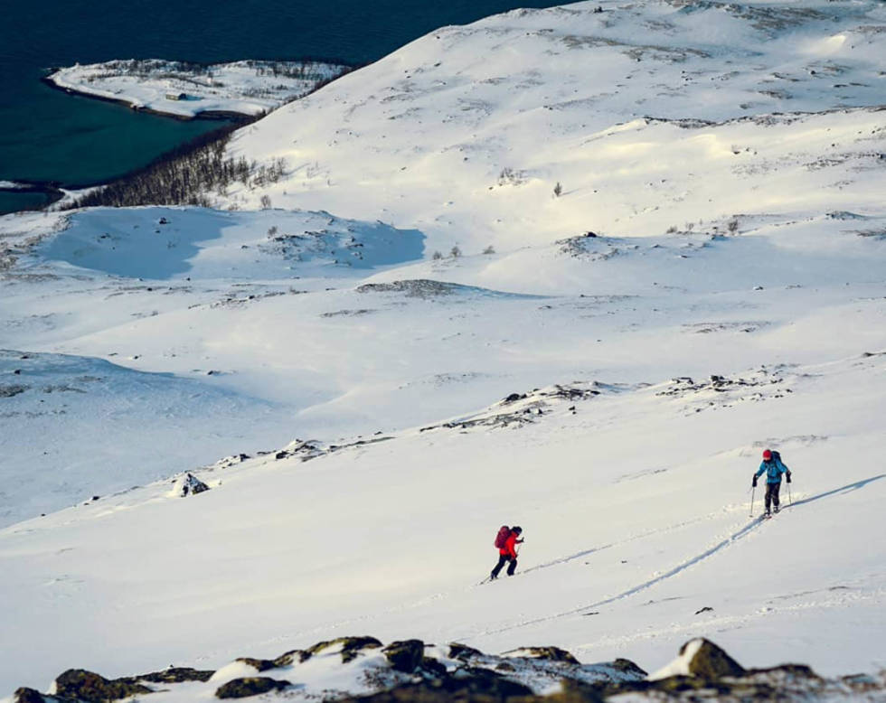 Sea to Summit i Neverfjord. Etter mye snøfall i det siste var det på tide med en skitur! Mye har allerede blitt flyttet på av vinden, men vi fant noe god snø lell. Foto: Ole Neverfjord