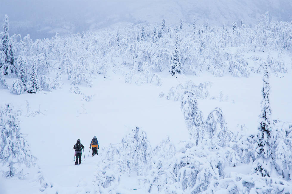 SPORFINNER: Elias Kvarekvål og Ole-Kristian Strøm kjenner på den eksklusive følelsen usporet snø fører med seg og staker seg i vei til Hemsedals skoger. Foto: Thomas Kleiven Pudder Hemsedal
