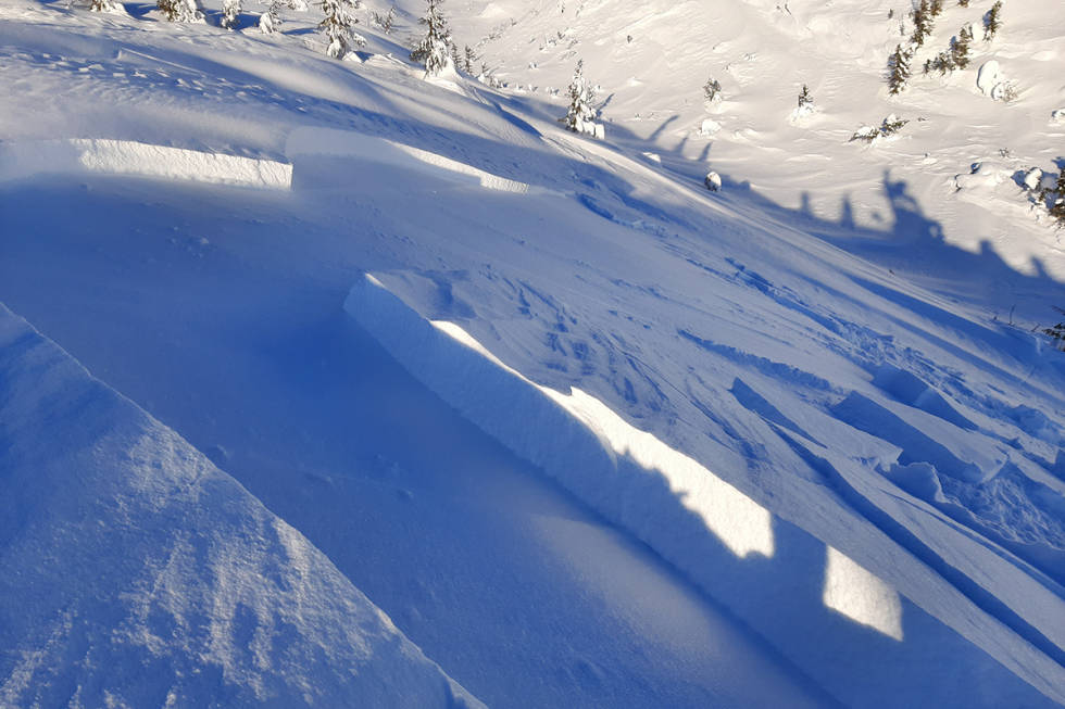 FLERE SKRED: Det ble fjernutløst flere skred søndag. Foto: Lisa Kvålshaugen Bjærum Snøskred Høgevarde