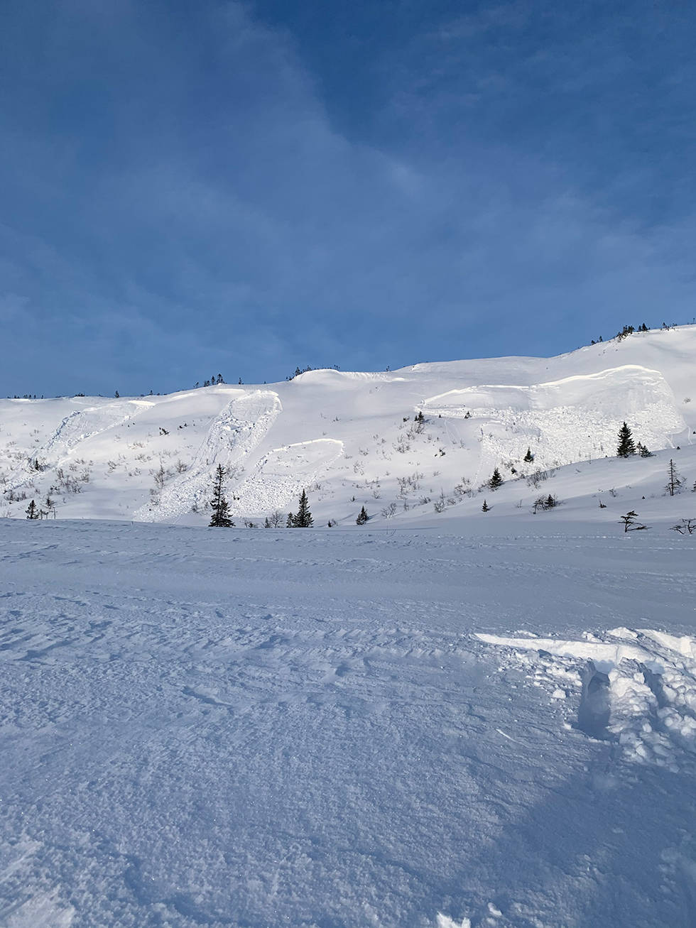 SKRED: Slik så fjellsiden ved Kirkebyfjellet i Meråker ut. Foto: Harald Wanvik Snøskred Meråker