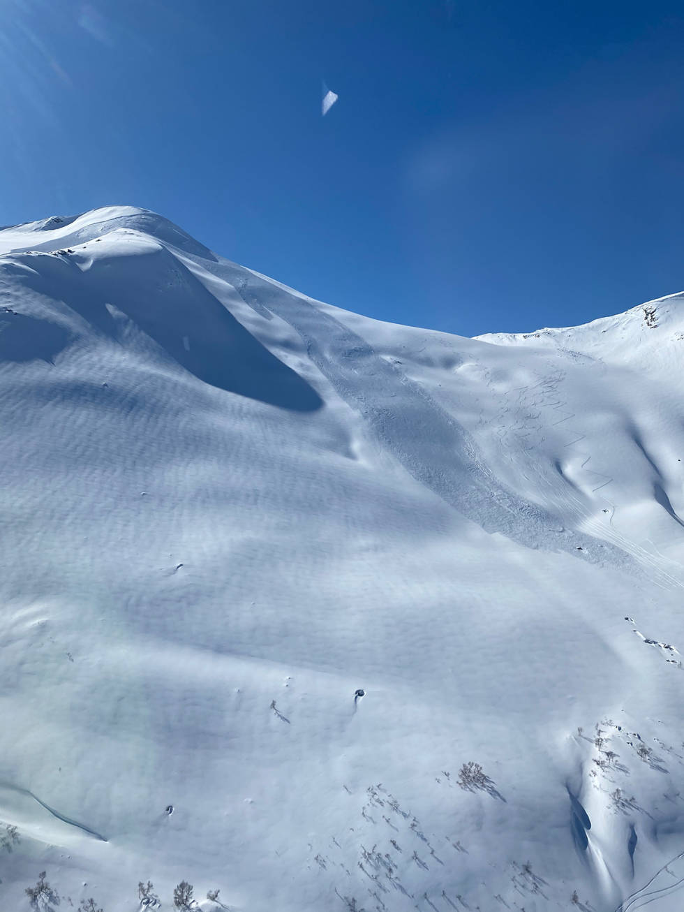 FRA LUFTA: Det var et stort snøskred som gikk, her sett fra lufta. Foto: Helene H. Sæterdal/Norske Redningshunder Snøskred Stardalen