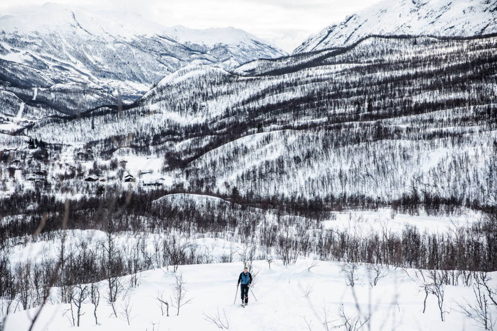 Det navigeres gjennom trærne på vei opp til ryggen av Svarthetta. Foto: Andreas Løve Storm Fausko Svarthetta Hemsedal