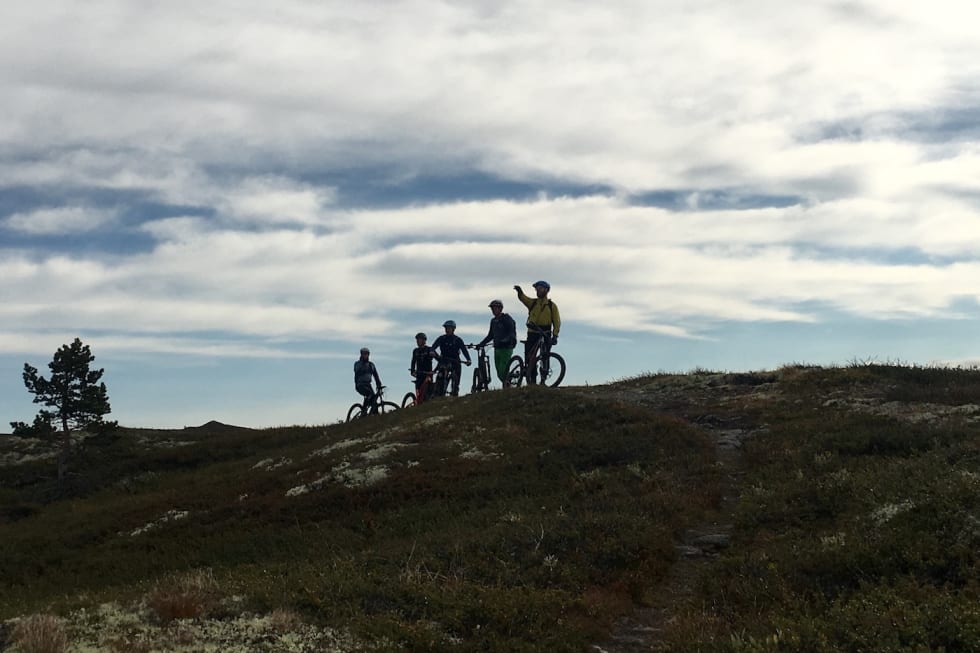 Hallingdal har både høyfjell og skogsterreng å by på. Foto: Anders Korsmo