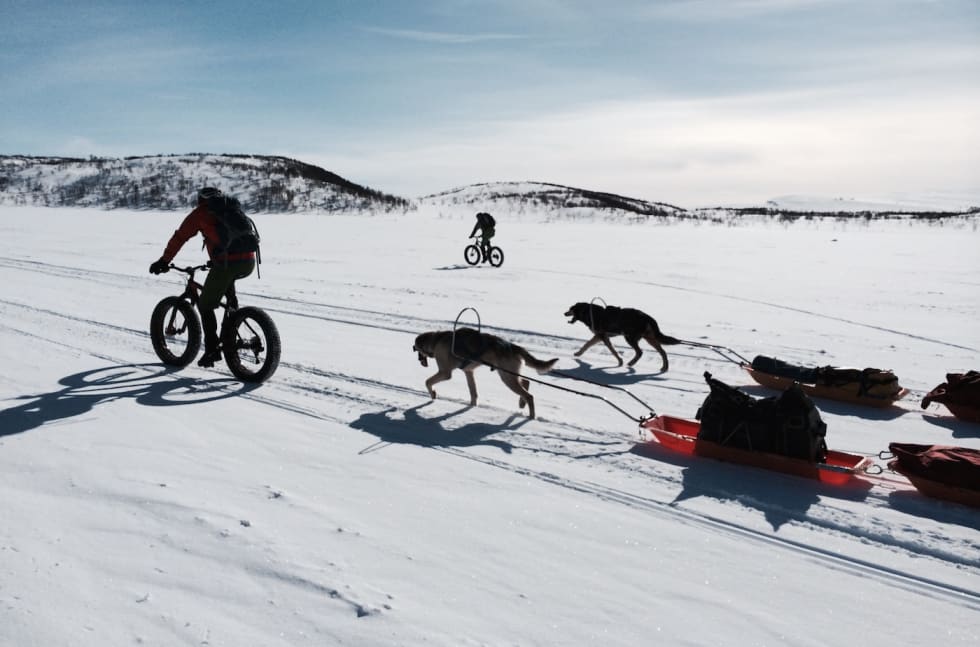 Fatbike over Finnmarksvidda Foto Privat Finnmarksvidda hunder - Privat - 1400x924