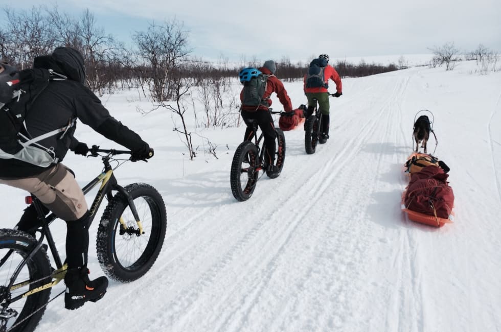 Fatbike over Finnmarksvidda Foto Privat Finnmark fatbike og hunder - Privat - 1400x924