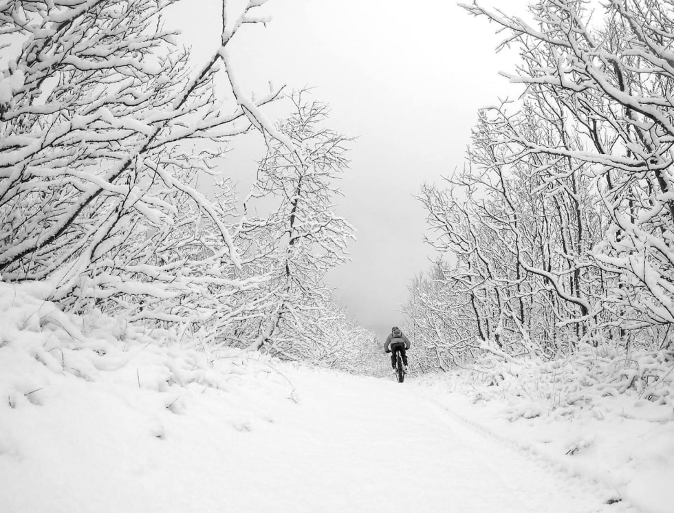 Endelig tjukksykkelføre. Foto: Pål Jakobsen Kvaløysletta Oct 29-17 trail Pål Jakobsen 140xx1066