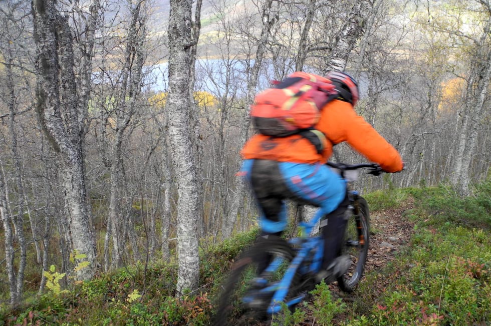 Emil Carlson på vei mot seier i premiereutgaven av Hardbarka i 2016. Foto: Reidar Øren Emil Carlson SS4 utsikt mot Fagersetvatnet foto Reidar Øren 1400x933