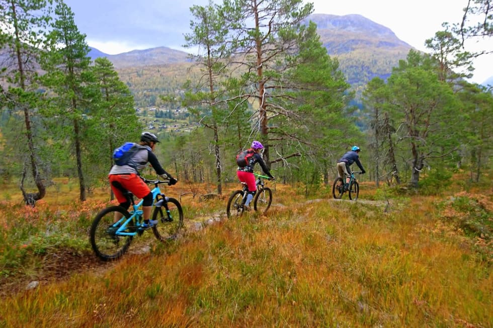 Folven har både barnålsstier med mye flyt så vel som stupbratt terreng å by på. Foto: Tommy Aslaksen Høst stryn Jentecamp Folven 2017 - Foto Tommy Aslaksen 1400x933