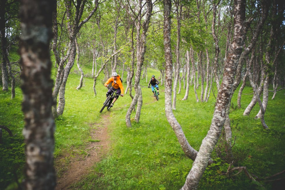 De som ønsker får gjennomkjøring med kjentfolk dagen før Harstad Enduro. Foto: Sjur Melsås Anders Røkenes og Finn Roar Kuntze 1400x933