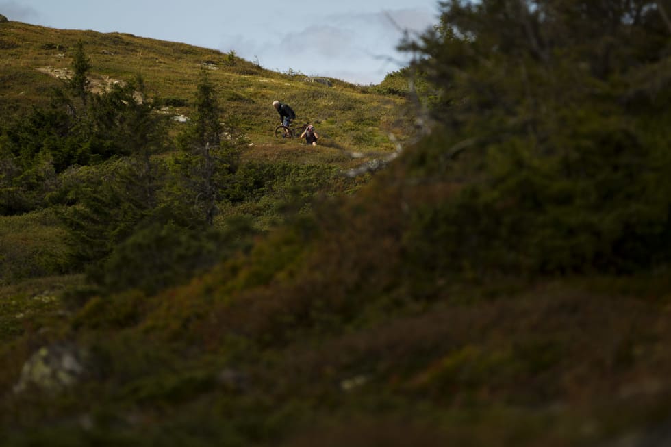 HOPPLA! Anders Holm tok en ufrivillig tumlerunde i lyngen... (foto: Kristoffer H. Kippernes) _KHK3569