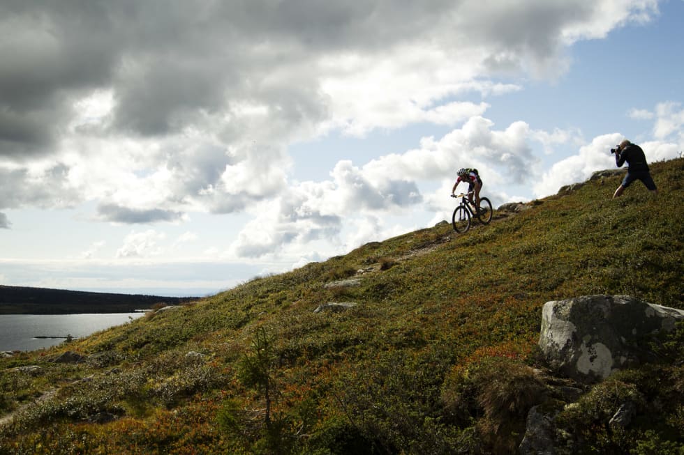 IDYLL: Hva er vel bedre enn lange, slake utforkjøringer på snaufjellssti? (foto: Kristoffer H. Kippernes) _KHK3124