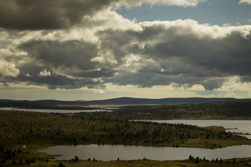 UTSIKT: Utsikten, kanskje? (foto: Kristoffer H. Kippernes) _KHK3098