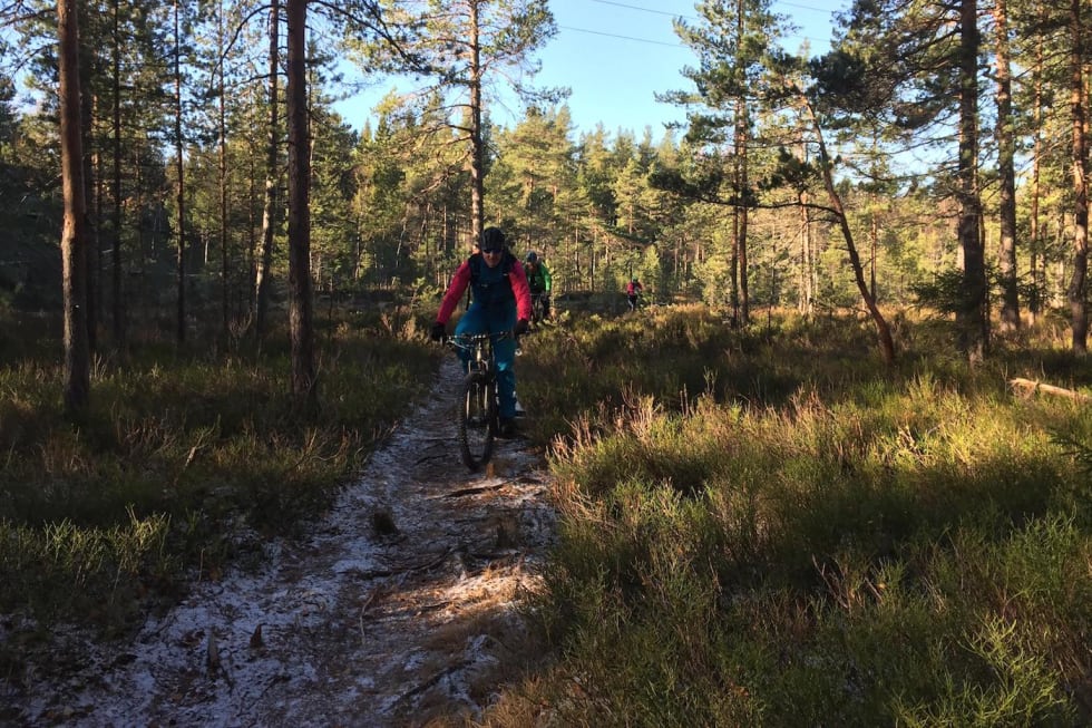 Barfrost var en del av søndagens fellestur. Foto: Trond Dyrnes Fellestur Sørmarka Stisykkelklubb Barfrost Oct 28-18 Trond Dyrnes 1400x933